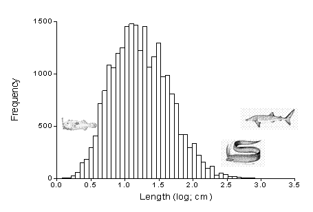 Frequency distribution of maximum lengths in 23,685 species of fishes