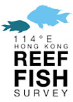 114°E Hong Kong Reef Fish Survey