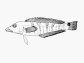 Pibra_u1.gif