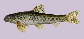 Abspr_u1.jpg