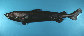 Cecoe_u0.jpg