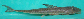 Loanu_u2.jpg