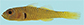 Trpen_f0.jpg