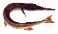 Tygav_u0.jpg