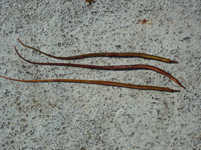 ../tools/UploadPhoto/uploads/DSC01062.JPG
