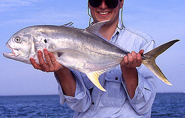 ../tools/UploadPhoto/uploads/Jack-Crevalle.jpg