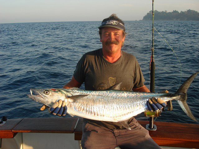 ../tools/UploadPhoto/uploads/Narrow-barred-spanish-mackerel-2.jpg